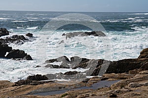 Scenic ocean view of Point Lobos State Reserve in California, near Monterey along the Pacific Coast Highway, as waves crash into