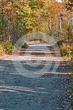 Scenic Old Forest Road Against Autumn Scenery in Polesye natural Resort