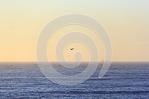 Scenic orange skyline with perfect horizon line with sea