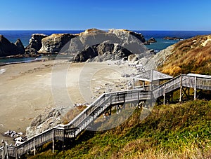 Scenic Oregon Pacific Coast Trail Landscape