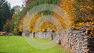 Scenic outdoor setting with colorful autumn trees in the park