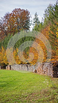 Scenic outdoor setting with colorful autumn trees in the park