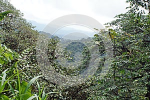 Scenic outlook point in the Cotacachi Cayapas Ecological Reserve