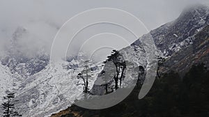 scenic panorama of foggy and cloudy snowcapped himalaya mountain peak and alpine forest at yumthang valley