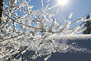 Scenic panorama view of an idyllic winter landscape