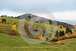 Scenic panorama view of a picturesque mountain village in Germany, Horben, Schwartzwald.