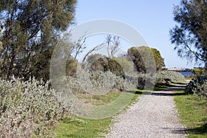 Scenic Panorama from the walkpath along the Leschenault Estuary Bunbury Western Australia .