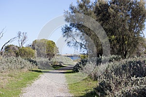 Scenic Panorama from the walkpath along the Leschenault Estuary Bunbury Western Australia .