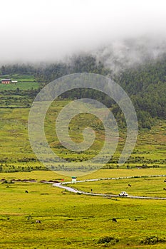 Scenic panoramic view of green field with roads