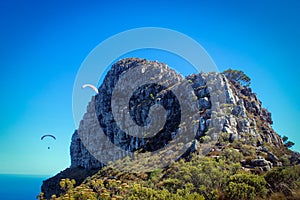 View of paragliding over Cape Town from Lion`s Head