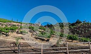 Scenic panoramic winery vista in Malibu, California