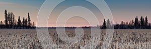 Scenic Panorma of The Albertan Blackfoot Natural Area