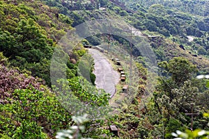 Scenic path along the Eravikulam National Park. Situated in the Kannan Devan Hills. It is located in the Devikulam Taluk of Idukki photo