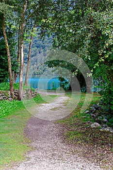 Scenic path along the lake in summer. beauty