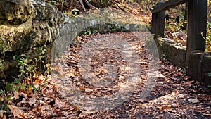 scenic path in autumn forest