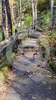 scenic path in autumn forest