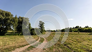 Scenic path in the wild, summer day