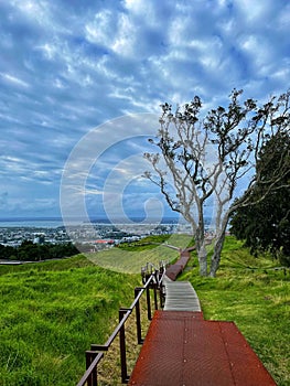 Scenic pathway leading up a hill at Mount Eden, with lush green grass, trees and a cityscape below