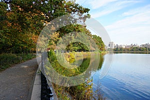 Scenic pathway meandering alongside the serene river's edge