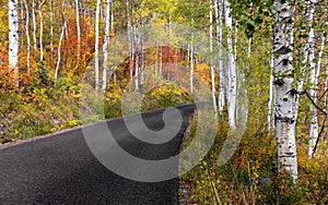 Scenic Pine canyon drive in Wasatch mountain state park, Utah