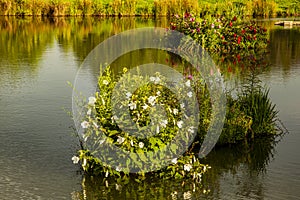 A scenic pond with islets of flowers