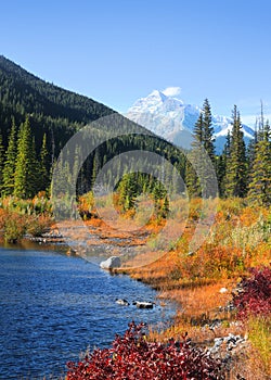 Scenic pond landscape along Kananaskis trail