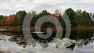 Scenic Pond Landscape in the Poconos in Autumn