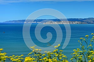 Scenic Povery Bay viewed from Titirangi Domain in Gisborne, New Zealand