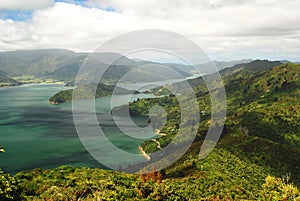 Scenic Queen Charlotte sound from a hill top