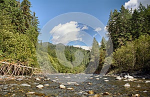 The scenic quinault river