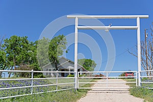 Scenic ranch landscape in Texas with wildflower Bluebonnet blooming