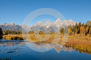 Scenic Reflection Landscape in Autumn in the Tetons