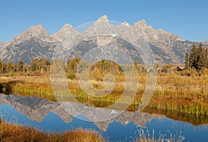Scenic Reflection Landscape in Fall in the Tetons