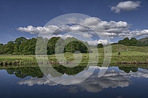 Scenic reflections in river