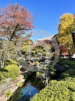 Scenic Residential View Along a Japanese Riverbank