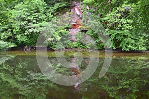 Scenic River Landscape of South West Scotland