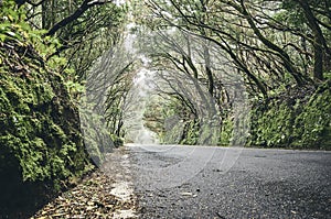 Scenic road in the Anaga UNESCO biosphere reserve, Tenerife, Spain