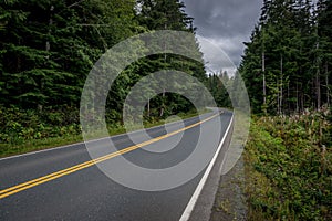 Scenic road with a bright yellow centerline winding through a lush forest.