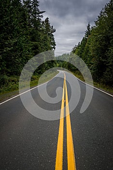 Scenic road with a bright yellow centerline winding through a lush forest.