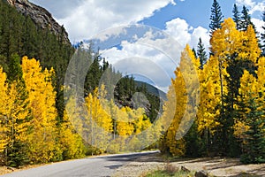 Scenic Road in Colorado Fall Aspens