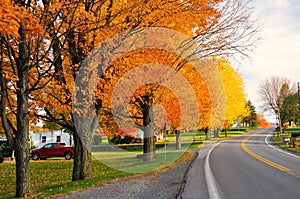 Scenic Road in fall