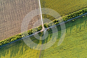 The scenic road through a farm field. Aerial view