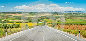 A scenic road on a hot summer day in the Sierra Nevada with snowy mountains in the background, Andalusia, Spain.