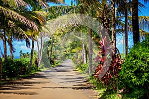 Scenic road on the island of Mauritius on sunset