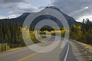 Scenic road in the mountains