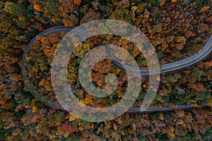 Scenic Roadway with Horseshoe Curve + Autumn Forest - Kentucky