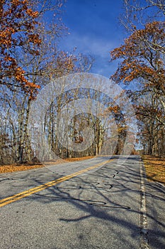 The Scenic Roadway to FDR State Park