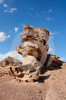 Scenic rock in shape of mushroom in the desert