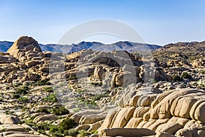 Scenic rocks in Joshua Tree National Park