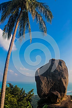 Scenic rocks landscape and palm at Koh Samui tropical resort